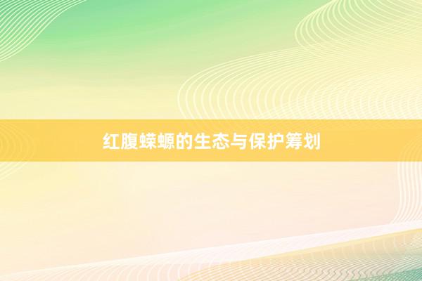 红腹蝾螈的生态与保护筹划